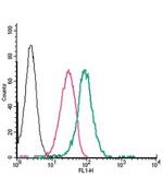 Neuropilin-1 (NRP1) (extracellular) Antibody in Flow Cytometry (Flow)