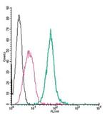 Neuropilin-1 (NRP1) (extracellular) Antibody in Flow Cytometry (Flow)