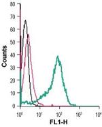 Nogo Receptor (extracellular) Antibody in Flow Cytometry (Flow)