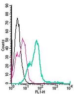 Nogo Receptor (extracellular) Antibody in Flow Cytometry (Flow)