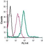 TrkA (extracellular) Antibody in Flow Cytometry (Flow)