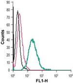 TrkA (extracellular) Antibody in Flow Cytometry (Flow)