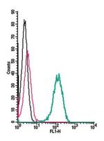 TrkB (extracellular) Antibody in Flow Cytometry (Flow)