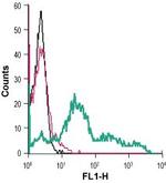 TrkB (extracellular) Antibody in Flow Cytometry (Flow)