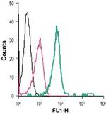 TrkB (extracellular) Antibody in Flow Cytometry (Flow)