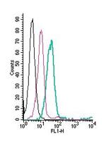 Ret Receptor (extracellular) Antibody in Flow Cytometry (Flow)