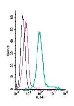 Ret Receptor (extracellular) Antibody in Flow Cytometry (Flow)