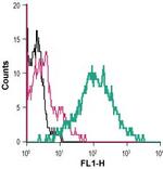 TNF Receptor I (extracellular) Antibody in Flow Cytometry (Flow)