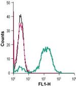 IGF1R (extracellular) Antibody in Flow Cytometry (Flow)