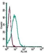 SLC28A3/CNT3 (extracellular) Antibody in Flow Cytometry (Flow)