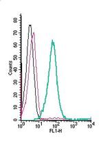 ASCT2/SLC1A5 (extracellular) Antibody in Flow Cytometry (Flow)