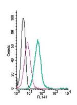 ASCT2/SLC1A5 (extracellular) Antibody in Flow Cytometry (Flow)