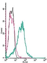 Na+/H+ Exchanger 1 (NHE-1) (extracellular) Antibody in Flow Cytometry (Flow)