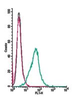 delta-Opioid Receptor (OPRD1) (extracellular) Antibody in Flow Cytometry (Flow)