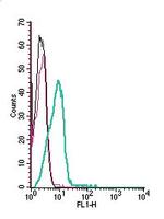 KV1.5 (KCNA5) (extracellular) Antibody in Flow Cytometry (Flow)