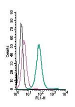 KV1.5 (KCNA5) (extracellular) Antibody in Flow Cytometry (Flow)