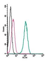 KCNMA1 (KCa1.1) (extracellular) Antibody in Flow Cytometry (Flow)