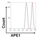 APE1 Antibody in Flow Cytometry (Flow)