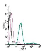 P2X7 Receptor (extracellular) Antibody in Flow Cytometry (Flow)