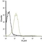 P2Y1 Receptor (extracellular) Antibody in Flow Cytometry (Flow)