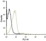 P2Y1 Receptor (extracellular) Antibody in Flow Cytometry (Flow)