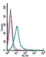 P2Y1 Receptor (extracellular) Antibody in Flow Cytometry (Flow)