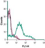 P2X1 Receptor (extracellular) Antibody in Flow Cytometry (Flow)