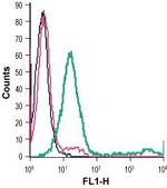 P2X1 Receptor (extracellular) Antibody in Flow Cytometry (Flow)