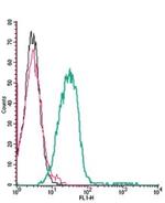 P2X3 Receptor (extracellular) Antibody in Flow Cytometry (Flow)