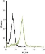 PAR4 (F2RL3) (extracellular) Antibody in Flow Cytometry (Flow)