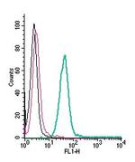 Platelet-activating factor receptor (extracellular) Antibody in Flow Cytometry (Flow)