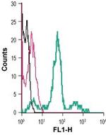 Prostaglandin E Receptor EP2/PTGER2 (extracellular) Antibody in Flow Cytometry (Flow)