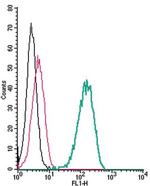 Plexin-A1 (extracellular) Antibody in Flow Cytometry (Flow)