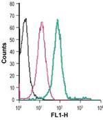 P2Y2 Receptor (extracellular) Antibody in Flow Cytometry (Flow)