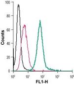 P2Y2 Receptor (extracellular) Antibody in Flow Cytometry (Flow)