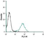 RAMP2 (extracellular) Antibody in Flow Cytometry (Flow)