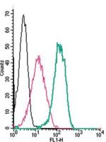 Somatostatin Receptor Type 4 (extracellular) Antibody in Flow Cytometry (Flow)