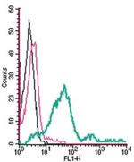 S1PR1 (EDG1) (extracellular) Antibody in Flow Cytometry (Flow)