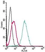 S1PR5/EDG8 (extracellular) Antibody in Flow Cytometry (Flow)