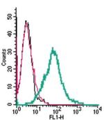 5HT2A Receptor (HTR2A) (extracellular) Antibody in Flow Cytometry (Flow)