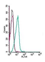 5HT2B Receptor (HTR2B) (extracellular) Antibody in Flow Cytometry (Flow)