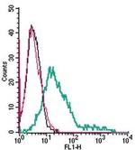 5HT7 Receptor/HTR7 (extracellular) Antibody in Flow Cytometry (Flow)