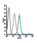 Neurokinin 1 Receptor (NK1R) (extracellular) Antibody in Flow Cytometry (Flow)