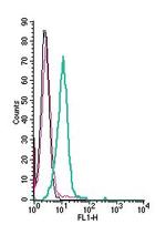 AXL (extracellular) Antibody in Flow Cytometry (Flow)