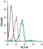 VPAC1 (VIPR1) (extracellular) Antibody in Flow Cytometry (Flow)