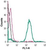 ZIP8 (SLC39A8) (extracellular) Antibody in Flow Cytometry (Flow)