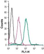 ZIP8 (SLC39A8) (extracellular) Antibody in Flow Cytometry (Flow)