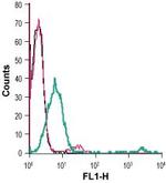 ZIP8 (SLC39A8) (extracellular) Antibody in Flow Cytometry (Flow)