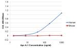 ApoA1 Antibody in ELISA (ELISA)