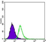 APOE Antibody in Flow Cytometry (Flow)